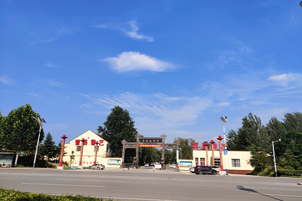 曹县鲁艺木业有限公司